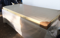 Панель изоляции ПУ холодной комнаты, изолированный охладитель обшивает панелями тип крюка для поверхности