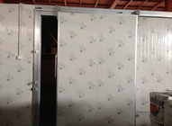 Автоматический тип толщина раздвижных дверей 100мм холодильных установок для холодной комнаты/одиночных лист