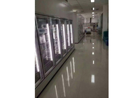 Подгонянные с определенными размерами двери холодильных установок/стеклянная дверь для замораживателя медицины