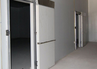 Прогулка комнаты холодильных установок панели полиуретана Вегетабле в охладителе с двойной сталью цвета