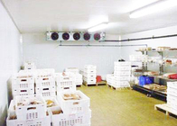 Комната холодильных установок компрессора Копеланд для морепродуктов мяса обрабатывая гарантию 1 года