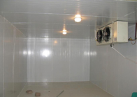Разделенная прогулка блока в комнате замораживателя с 2хп низкотемпературным размером 2300л * 1600в * 2400х