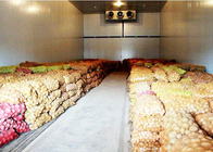 Овощной или фруктовый холодный склад с 43 кг / м³ Изоляционная панель PU