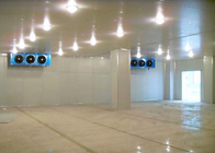 Белый цвет Pu Пена Сэндвич-панель Холодная комната Морозильная камера Spilit Unit for Warehouse