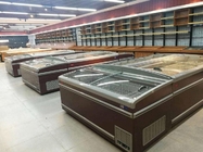 мясо/рыбы 2.1М длинные показывают замораживатель, покрашенный замораживатель острова супермаркета материальным