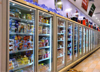 Дисплей двери резервной копии комнаты холодильных установок ОЭМ стеклянный с коммерчески холодильниками
